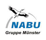 Nabu Logo